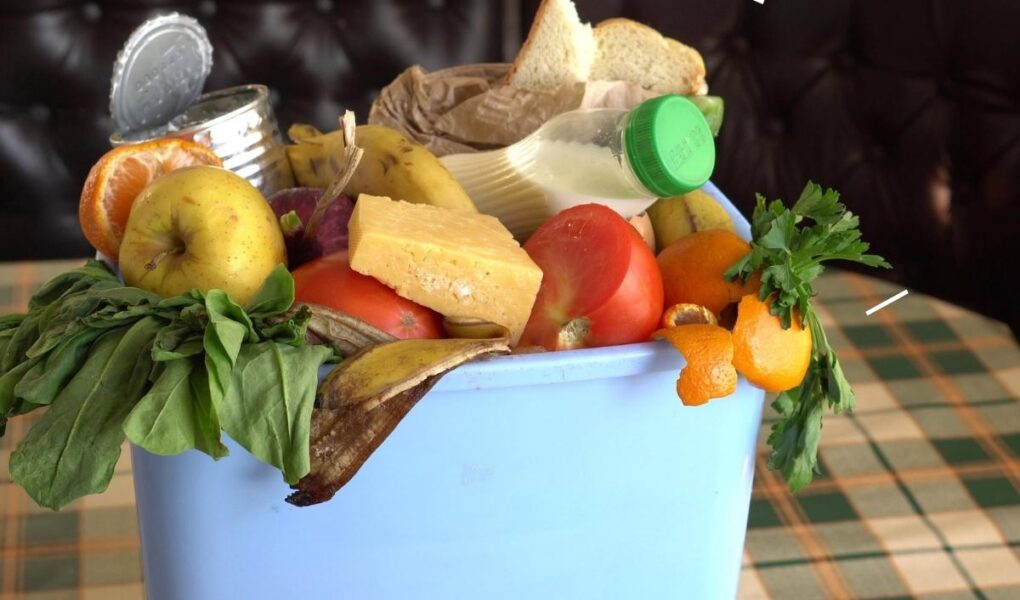 A blue bin is filled with various food items, including apples, tomatoes, bread, cheese, a banana peel, leafy greens, a canned good, a milk bottle, and orange peels, suggesting a mix of fresh and discarded or expired foods. The bin sits on a plaid tablecloth.