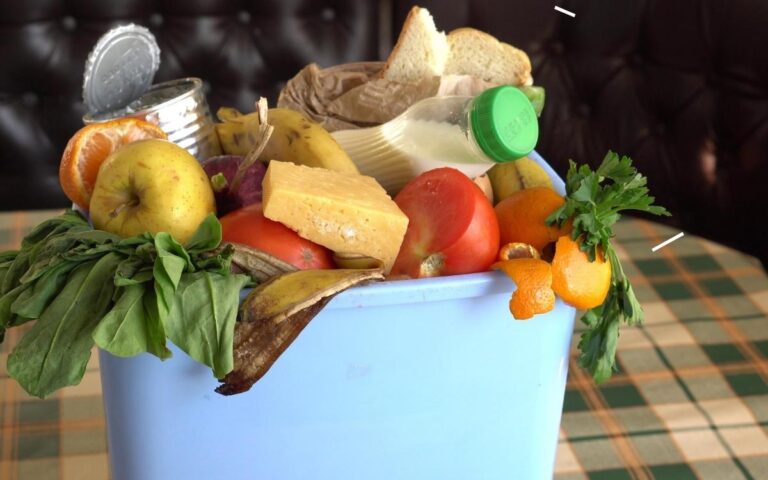 A blue bin is filled with various food items, including apples, tomatoes, bread, cheese, a banana peel, leafy greens, a canned good, a milk bottle, and orange peels, suggesting a mix of fresh and discarded or expired foods. The bin sits on a plaid tablecloth.