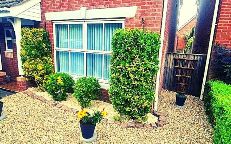 Front of a brick house with a large window, bordered by trimmed green bushes and small shrubs. Yellow flowers in a pot sit on gravel, and a narrow passage with a gate and potted plant runs between the house and a tall hedge.