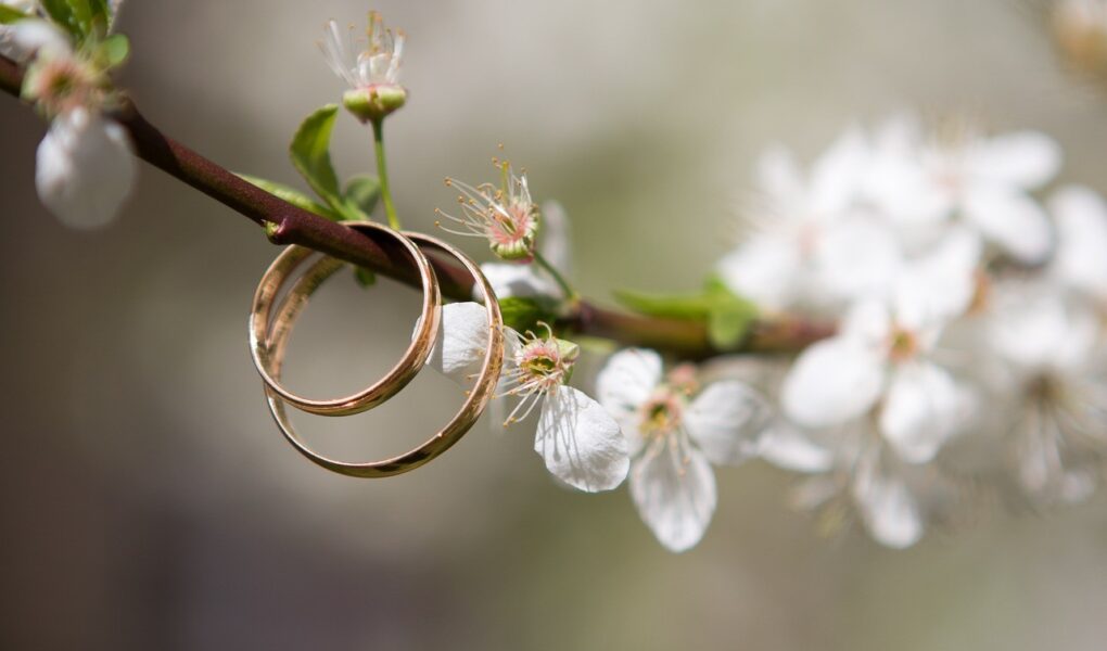 Two gold wedding rings hang on a blooming tree branch with delicate white flowers, some petals slightly wilted. The background is softly blurred, drawing focus to the rings and blossoms, evoking themes of love, marriage, and springtime.