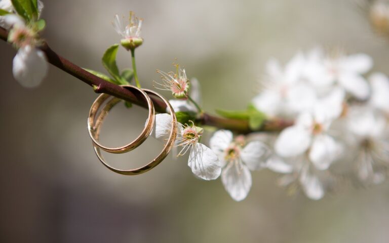 Two gold wedding rings hang on a blooming tree branch with delicate white flowers, some petals slightly wilted. The background is softly blurred, drawing focus to the rings and blossoms, evoking themes of love, marriage, and springtime.