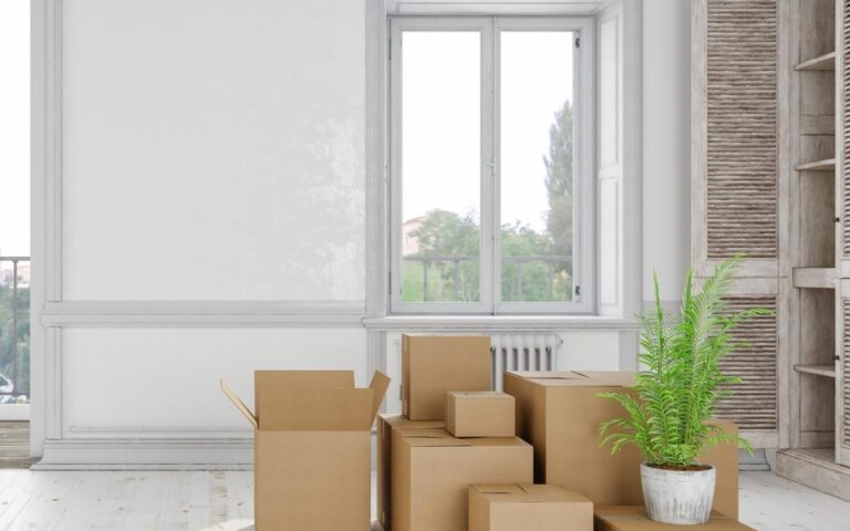 A bright, empty room with white walls and floors. Several cardboard moving boxes, some open, are stacked in the center. A potted green fern sits on one of the boxes. Large windows let in natural light; trees are visible outside.